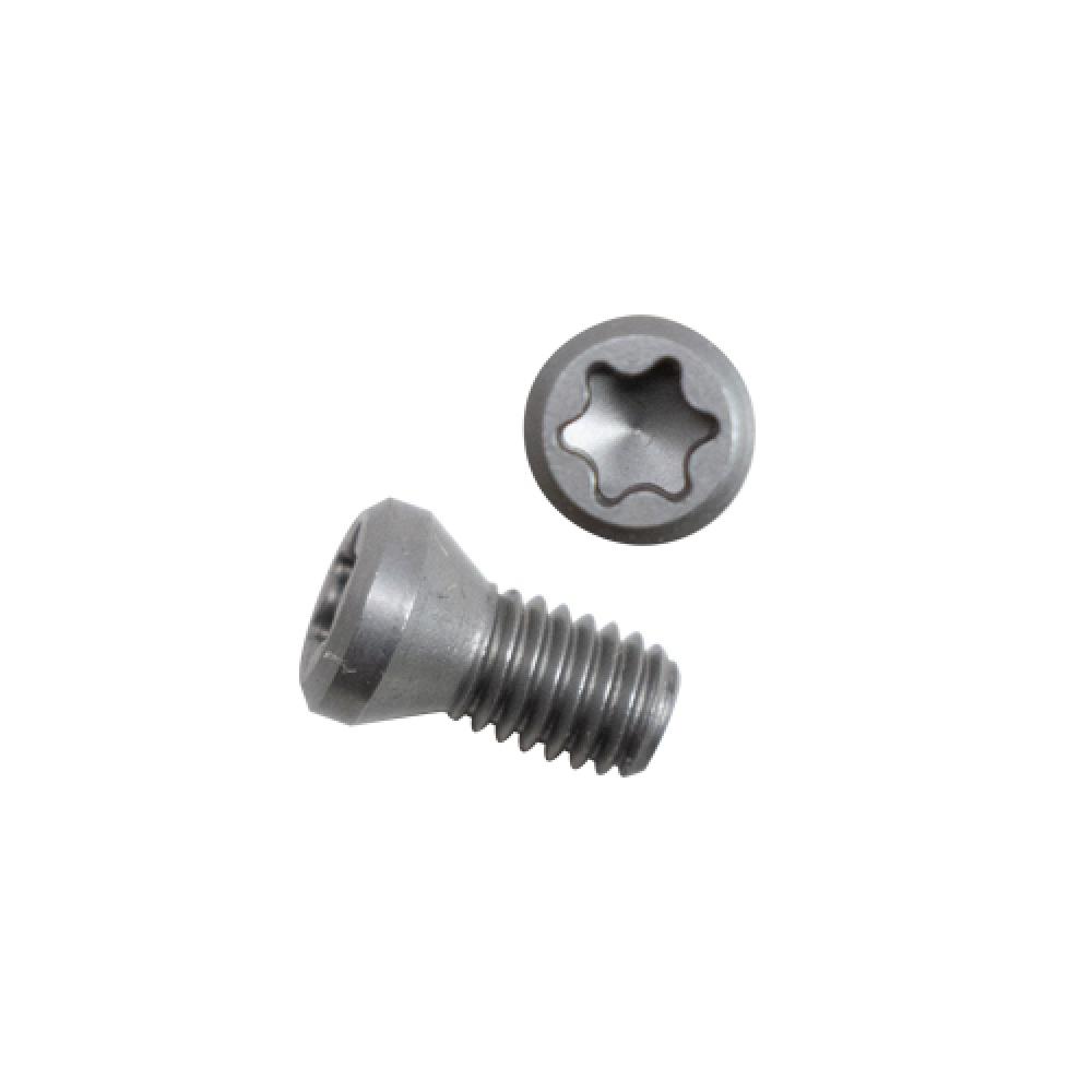 FTGA0411F Screw